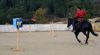 Finished Horse
